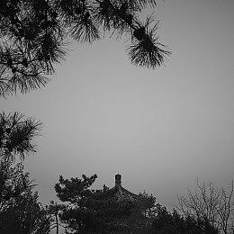 光与弦的共鸣！《戴森球计划》将与8月1日在上海举办音乐会